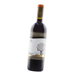 Vin rouge sec Enotria