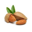 Amandes Bio sac - 5kg