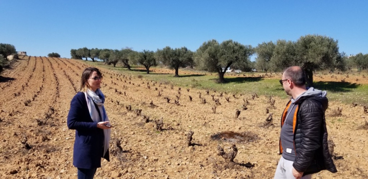 Visite du domaine Mylonas