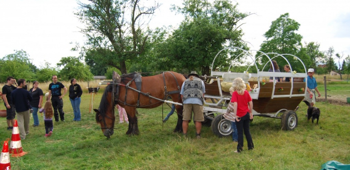 Fête de l’été à la Ferme Pédagogique de Janette !