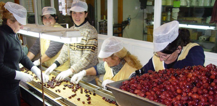 Processus de fabrication de l’huile d’olive Mani Bläuel